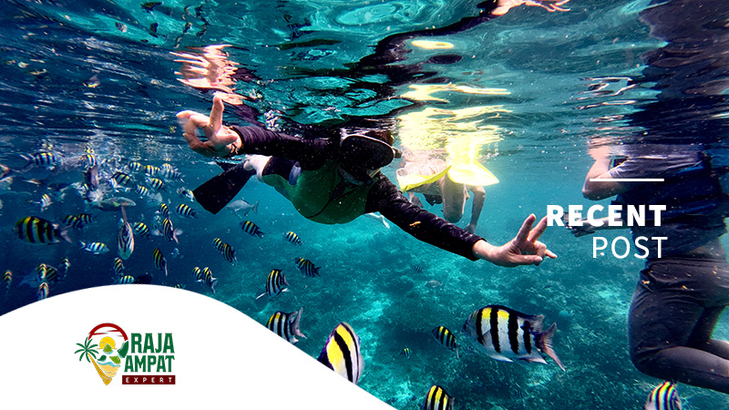 articles raja ampat expert (2)